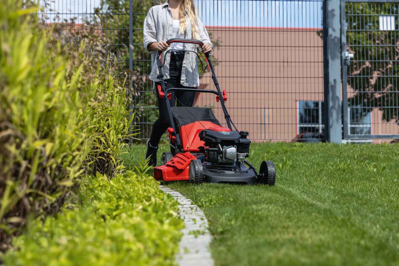 Scheppach motorna samohodna kosačica kosilica MS161-46 3.5 KS - Slika 2